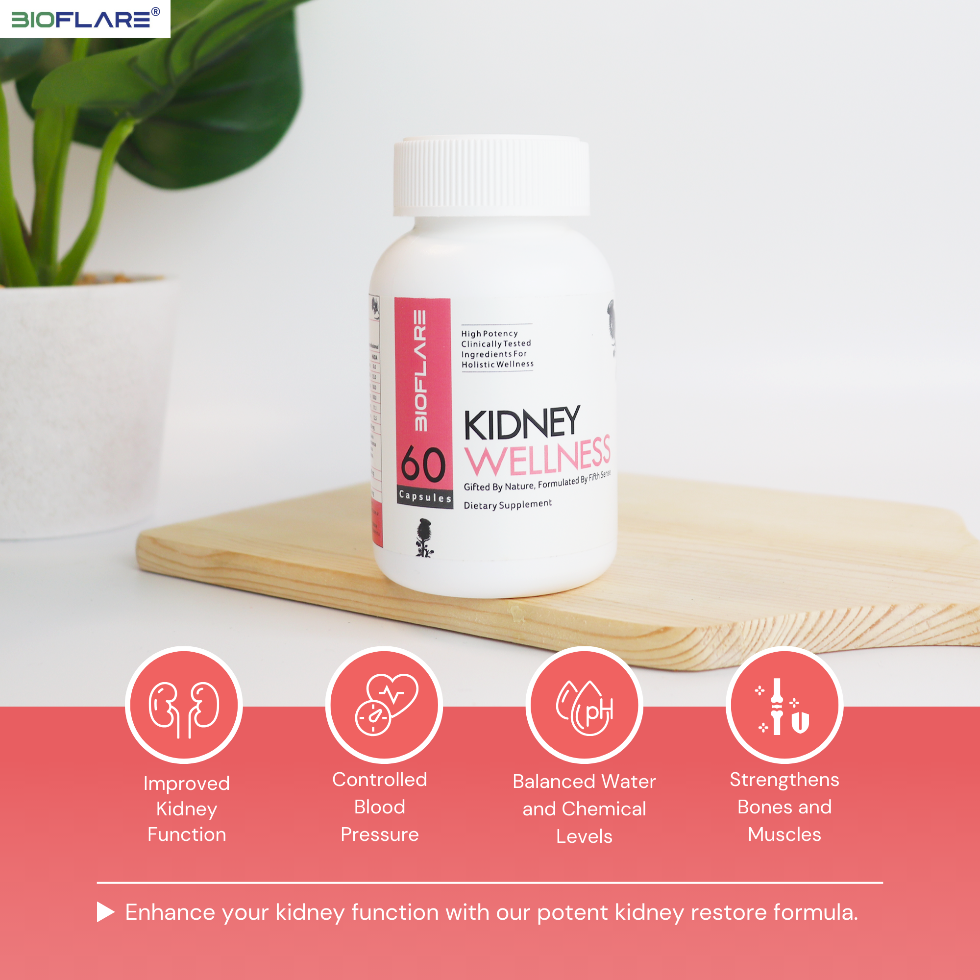 Renal Wellness Blend