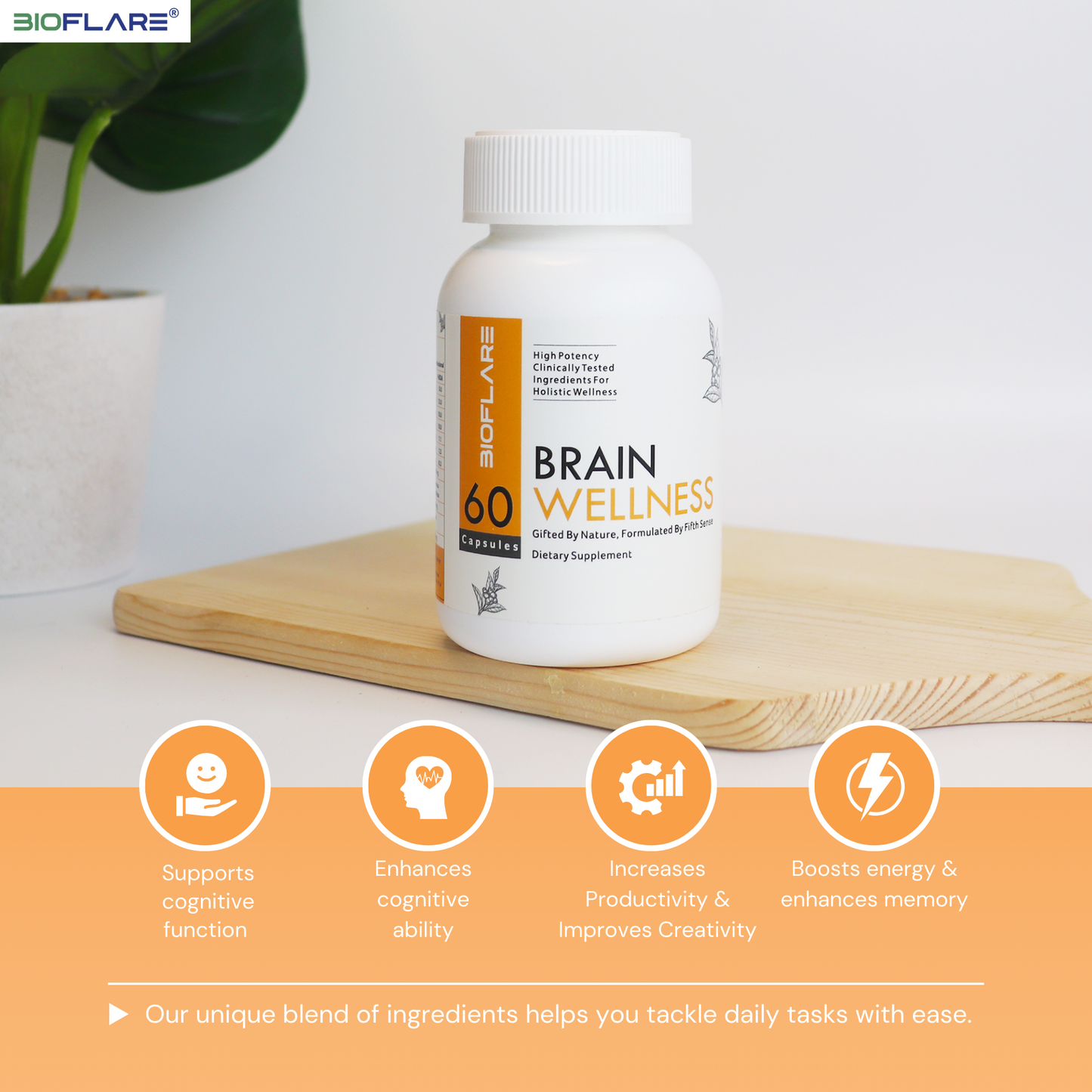 BRAIN WELLNESS